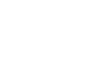 Evolution games at Mrrex Casino